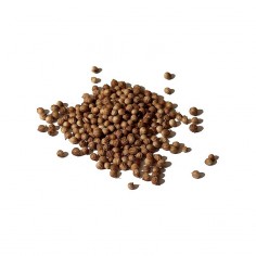 ÓLEO ESSENCIAL DE COENTRO 2