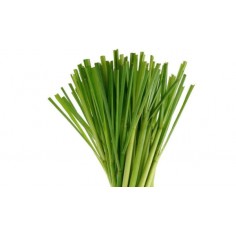 ÓLEO ESSENCIAL DE LEMONGRASS 2