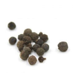 ÓLEO ESSENCIAL DE VERBENA... 2