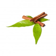 ÓLEO ESSENCIAL DE CANELA... 2